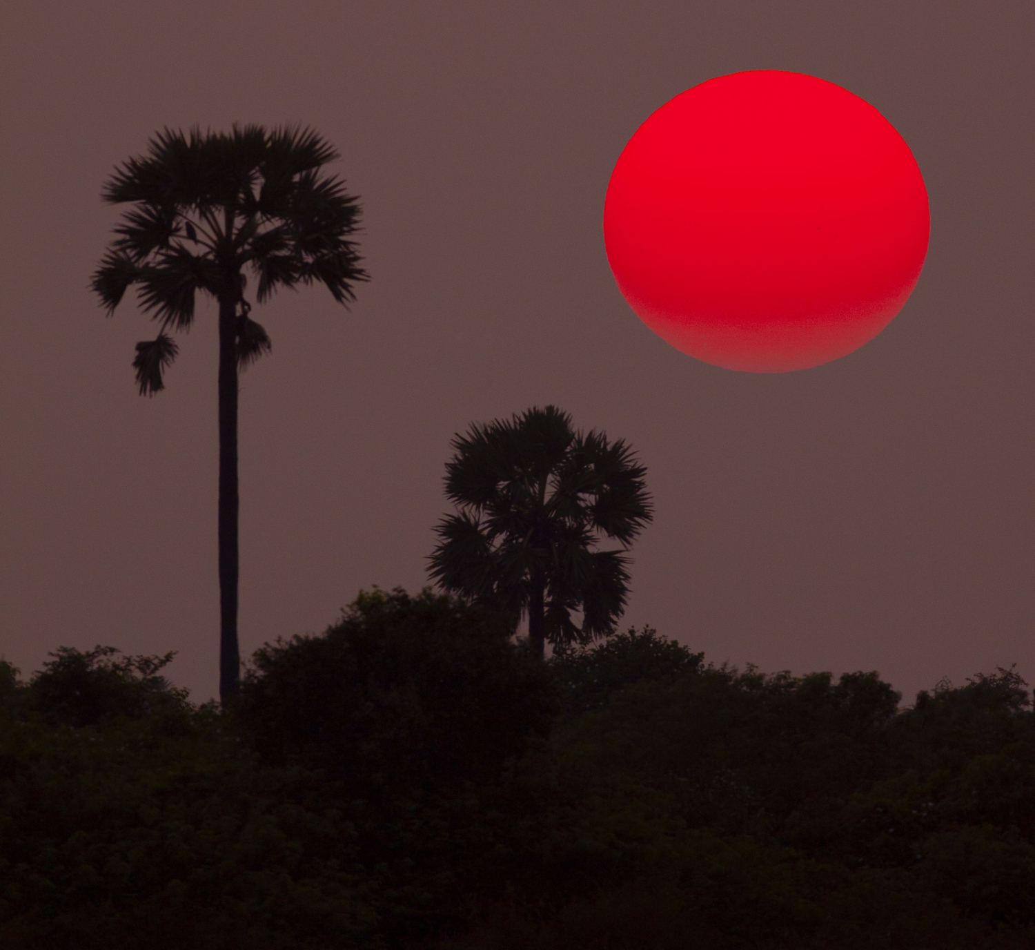 Sunset over Jaffna